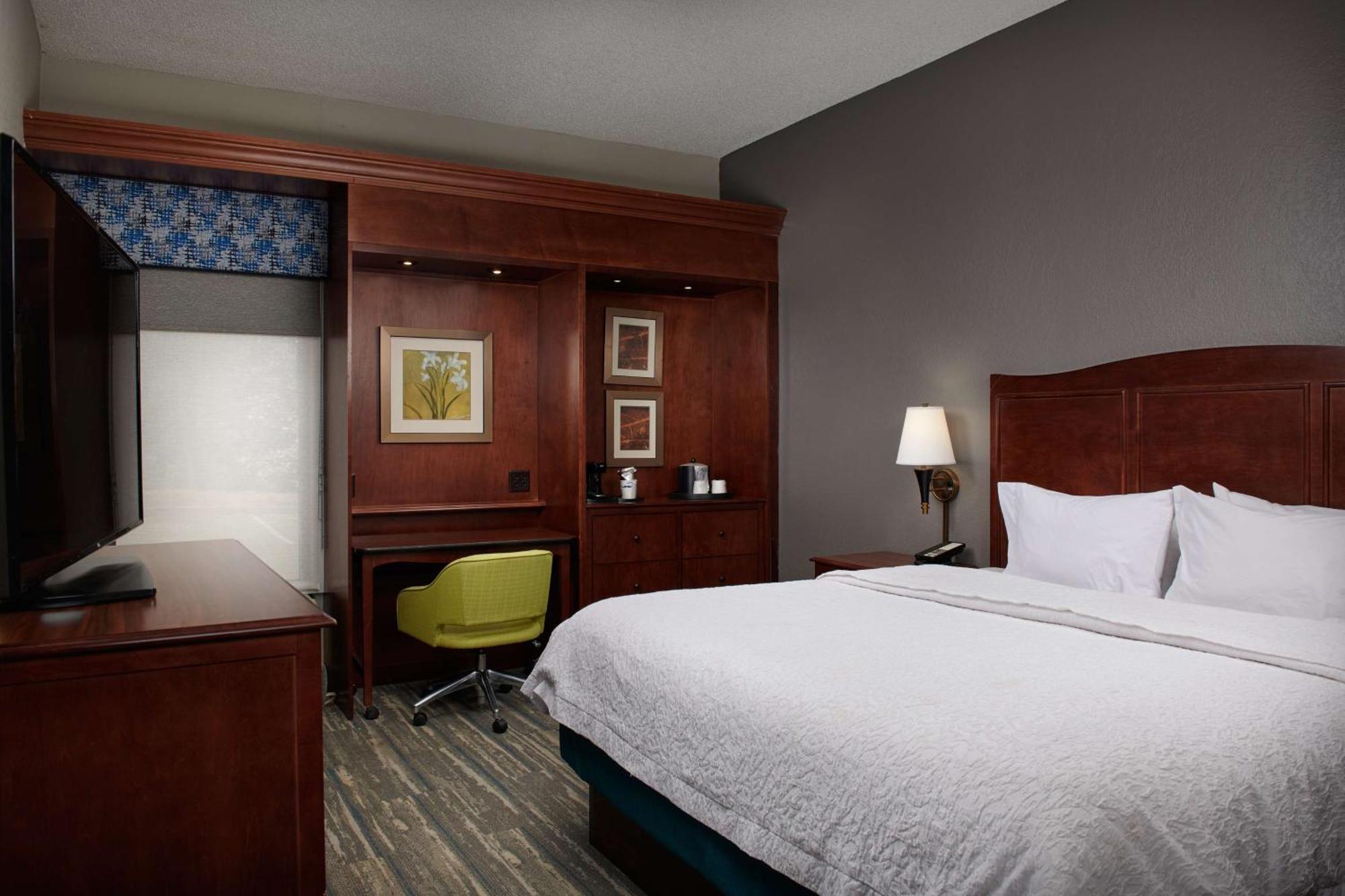 סמירנה Hampton Inn Atlanta-Cumberland Mall/Cobb Galleria Area מראה חיצוני תמונה